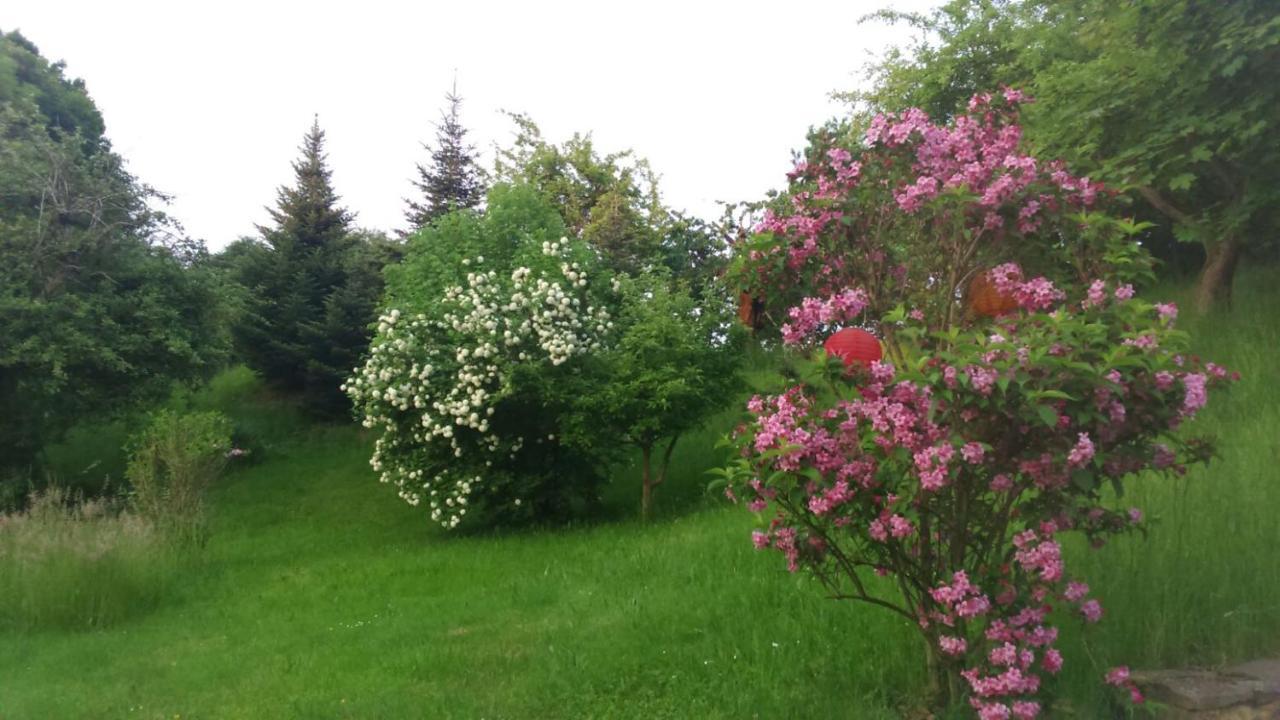 Giesis Wohlfuehloase Döbeln Exterior foto
